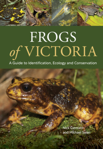 Frogs of Victoria