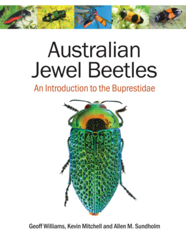 Australian Jewel Beetles