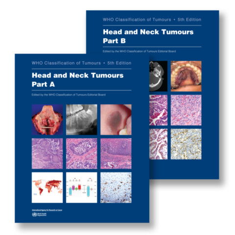 Head and Neck Tumours